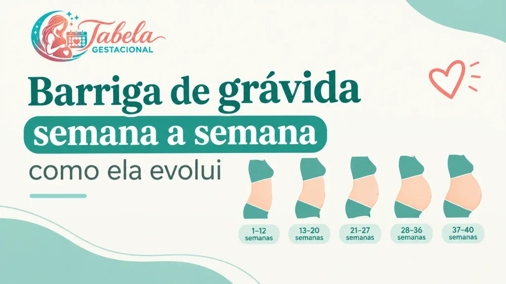Barriga de grávida semana a semana: como ela evolui Barriga de grávida semana a semana