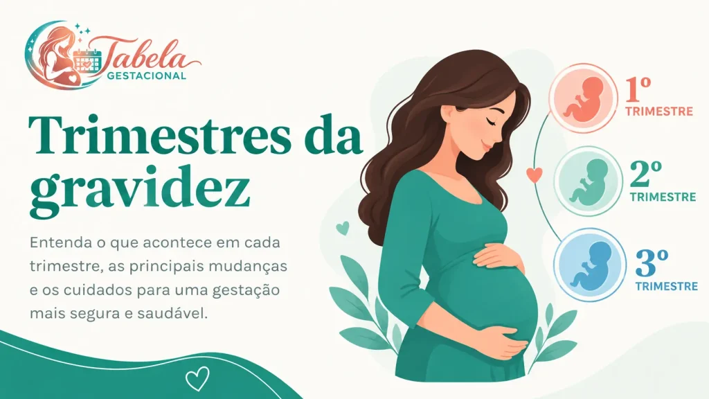 Trimestres da gravidez: quantas semanas tem cada um e quando o bebê pode nascer Trimestres da gravidez